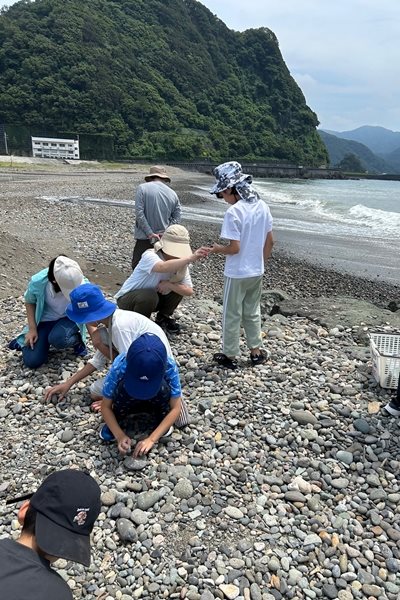 わさびコラム | 川と河口の観察