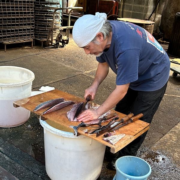 わさびコラム | かつお節工場見学